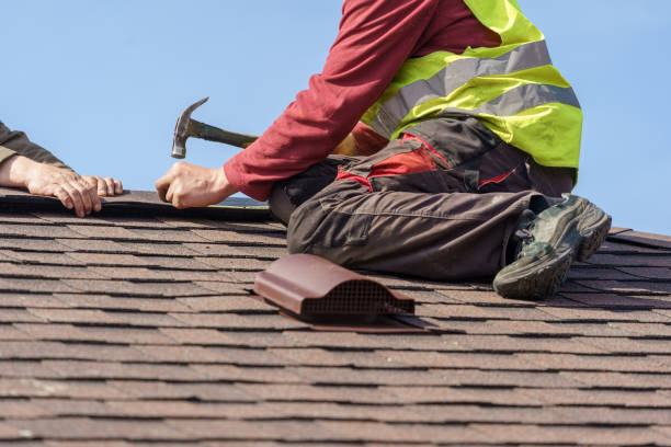 Best New Roof Installation  in Afton, WY