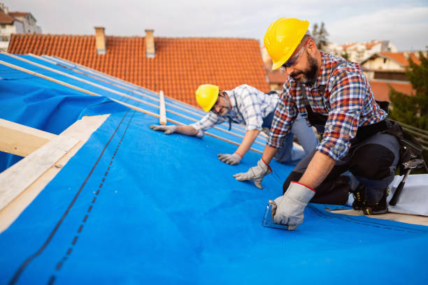 Best Emergency Roof Repair  in Afton, WY