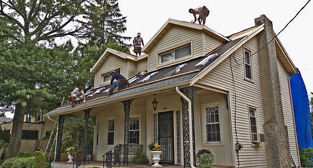 Best Roof Restoration Services  in Afton, WY