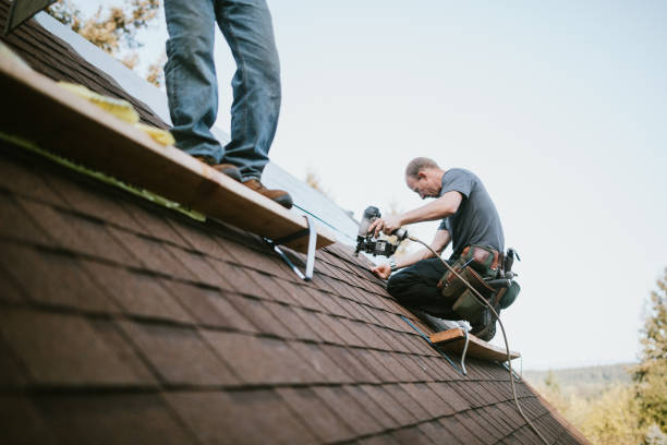 Best Best Roofing Contractors  in Afton, WY